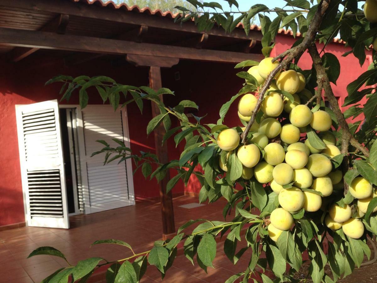 Holiday home Rafael *