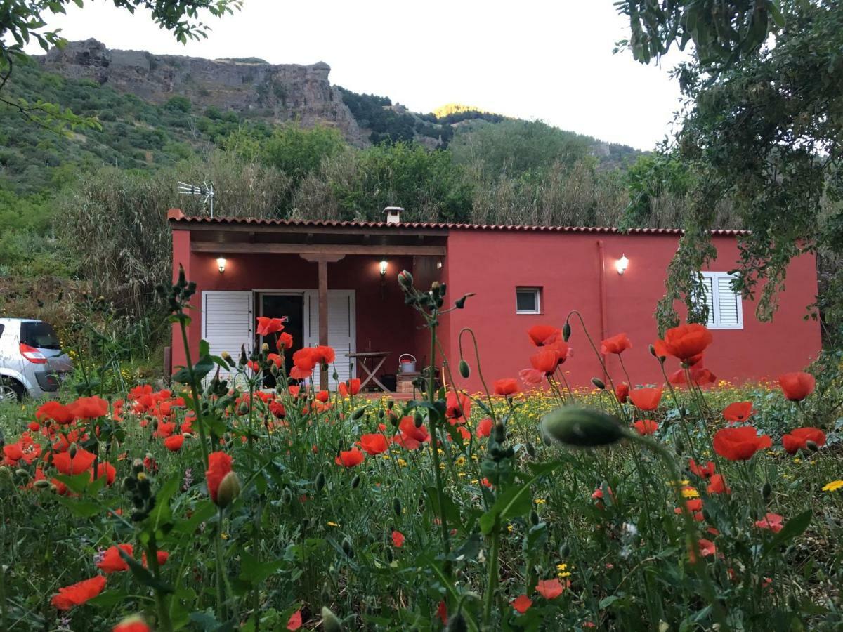 Rafael Holiday home Vega de San Mateo