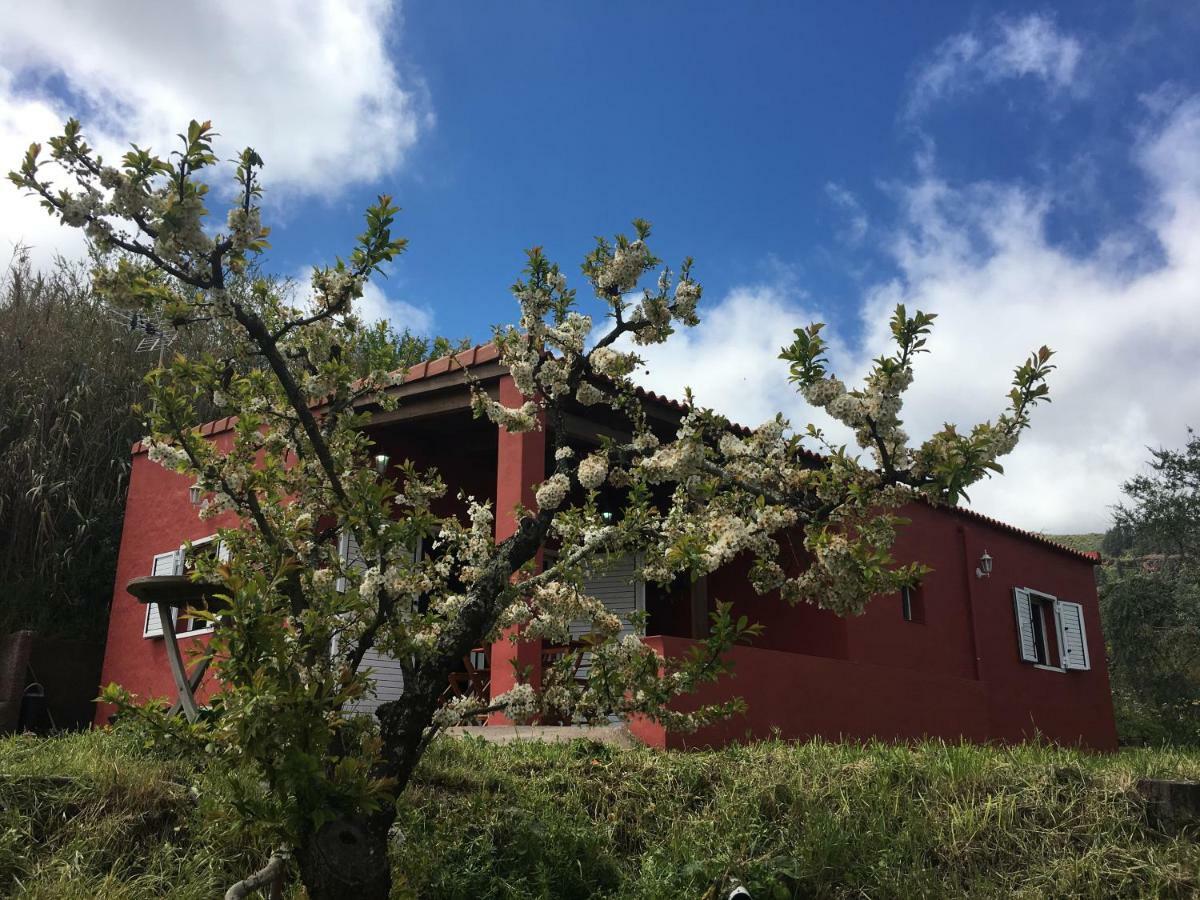 Ferienhaus Rafael *